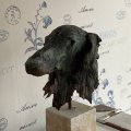 Kundenbild Keramischer Kunststoff - weiß 1.000 g Lufttrocknung