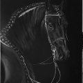 Kundenbild Amsterdam Acryl-Schlusslack glänzend - 75 ml