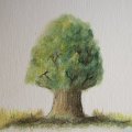 Kundenbild Canson C à Körnung 224 g - A4+