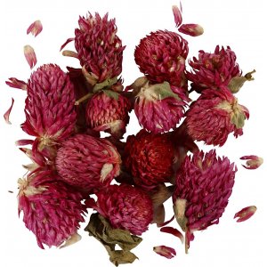 Trockenblumen - Rotklee - 15 g Trockenblumen - Rotklee - 15 g