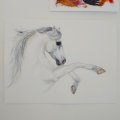 Kundenbild Canson Montval 300g feine Gr�ng - 36x48 cm