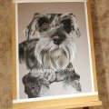 Kundenbild Canson Mi-Teintes Touch 350g 50x65 cm - Hellgrau