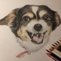 Kundenbild Farbstift Polychromos - 101 Weiß