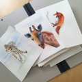 Kundenbild Zeichenmappe mit Gummiband - 37x52 cm
