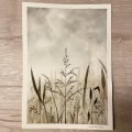 Kundenbild Aquarellblock, geklebte kaltgepresste B�gen, 300 g - A4
