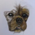 Kundenbild Copic Ciao - Mixer