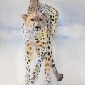 Kundenbild Aquarellblock, geklebte kaltgepresste B�gen, 300 g - A4