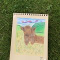 Kundenbild Buntstifte Polychromos - 12 Bleistifte