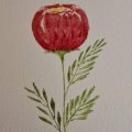 Kundenbild Aquarellblock, geklebte kaltgepresste B�gen, 300 g - A4