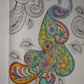 Kundenbild Aquarellstift Mondeluz - 48 Stifte in der Dose
