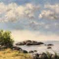 Kundenbild Schaumstoffb�rste 50 x 68 mm - unbehandelt