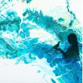Kundenbild Amsterdam Acrylfarbe 500 ml - Grünblau