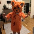 Kundenbild Gorillafell - Orange