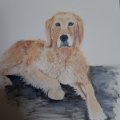 Kundenbild Baumwolltuch 380g - 50x60 cm