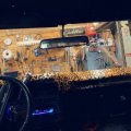 Kundenbild Velours-Tierfell - Jaguar