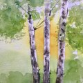 Kundenbild Aquarellfarbe W&N Cotman Half Cup - 109 Kadmiumgelber Farbton