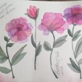 Kundenbild Aquarellfarbe W&N Professional Halbbecher - 479 Permanent karminrot