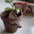 Kundenbild DAS Clay 1 kg Terrakotta