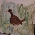 Kundenbild Aquarellstift Albrecht Dürer - 178 Nougat