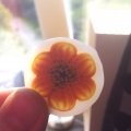 Kundenbild Modellier-Fimo-Effekt, 57 g - Perlmutt