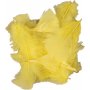 Daunen - gelb - 50 g