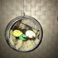 Kundenbild Wei�es Moos (Flechte) - naturbelassen 50 g