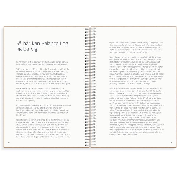 Bilanzprotokoll Bilanzprotokoll