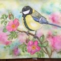 Kundenbild Marderhaarb�rste Aquafine 34 Round - Nr. 2