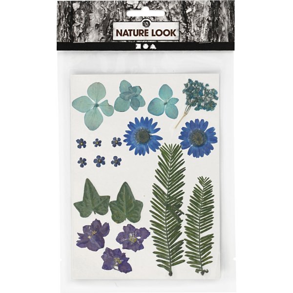 Getrocknete Blumen und Blätter - blau Getrocknete Blumen und Blätter - blau