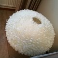 Kundenbild Dekofeder 50-100 mm - Vanille 10 g ~ 110er-Pack