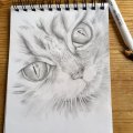 Kundenbild Bleistift Faber-Castell 9000 - 2H
