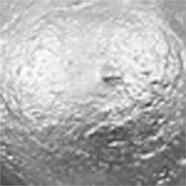 Schulfarbe Acryl - Metallic - Silber - Metallic - 500 ml Schulfarbe Acryl - Metallic - Silber - Metallic - 500 ml