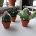 Kundenbild Terrakottatöpfe 5 cm - 10er-Pack