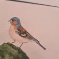 Kundenbild Aquarellstift Albrecht Dürer - 273 Warm Grey IV