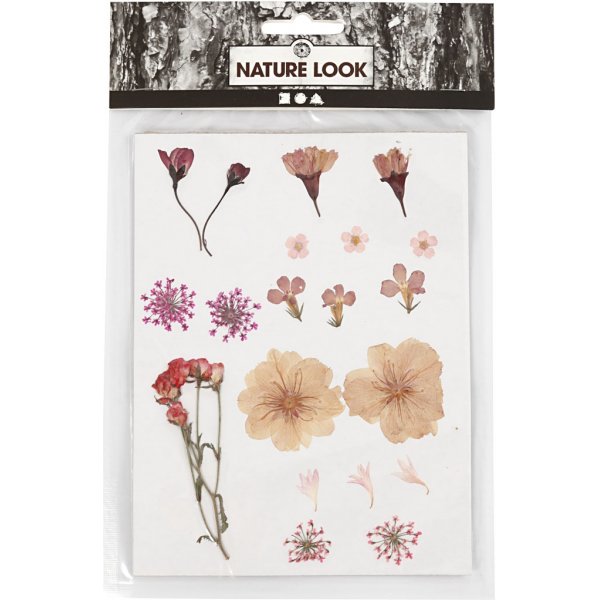 Getrocknete Blüten und Blätter - hellrosa Getrocknete Blüten und Blätter - hellrosa