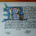 Kundenbild Bandzug 1,0 mm, 3 St�ck/Karton