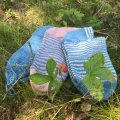 Kundenbild Alegria 100g - Wedgwood