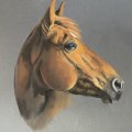 Kundenbild Pastell Cretacolor F/A - Zinkwei� (102)