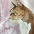 Kundenbild Aquarellfarbe W&N Cotman Half Cup - 074 Burnt Sienna