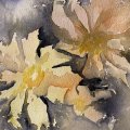 Kundenbild Aquarellblock, geklebt, rauer Hain, Bögen, 300 g - A5