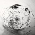 Kundenbild Kalligraphietinte W&N 30ml - Wei�e Tauchtinte