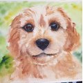 Kundenbild Aquarellblock, geklebt, rauer Hain, Bögen, 300 g - A4