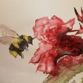 Kundenbild Aquarellblock, geklebt, rauer Hain, Bögen, 300 g - A3
