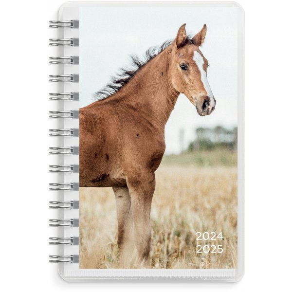 Kalender 24/25 Compact - Haustiere Kalender 24/25 Compact - Haustiere