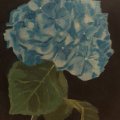 Kundenbild Acrylfarbe W&N Galeria 60ml - 346 Zitronengelb