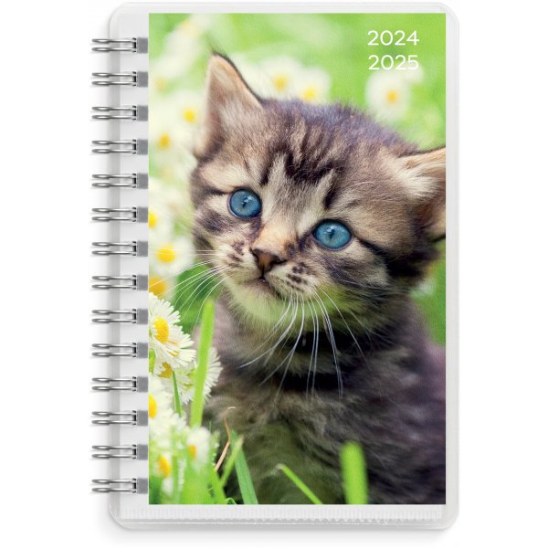 Kalender 24/25 Compact - Haustiere Kalender 24/25 Compact - Haustiere