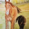 Kundenbild Aquarellblock, geklebt, grobe Hainbögen, 300 g - 26 x 36 cm