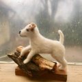 Kundenbild Filzwolle - weiß 50 g reine Lammwolle