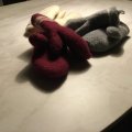 Kundenbild