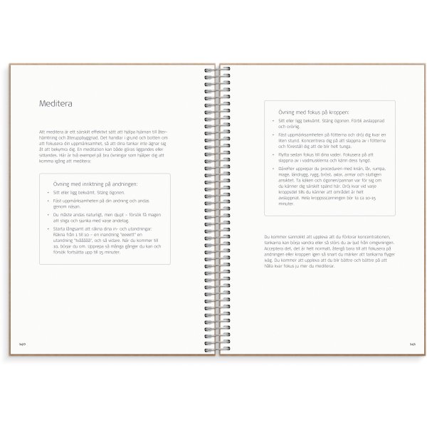 Bilanzprotokoll Bilanzprotokoll